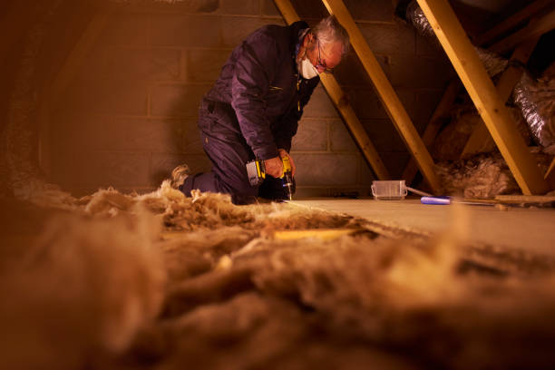 Best Fiberglass Insulation  in Wickliffe, OH